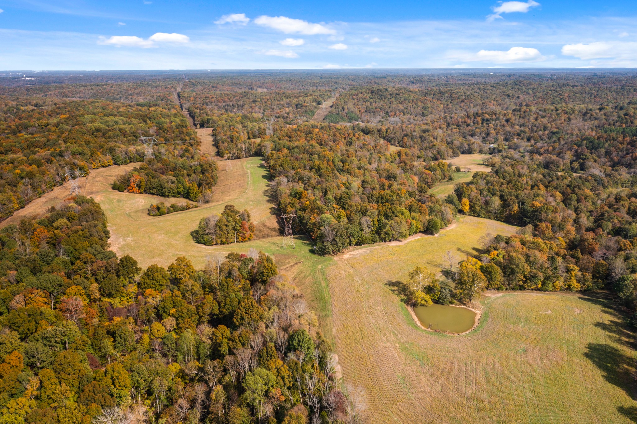 0 Buck Smith Hill Road Palmyra, TN 37142 - Photo 8 of 12 Gallery Image 8
