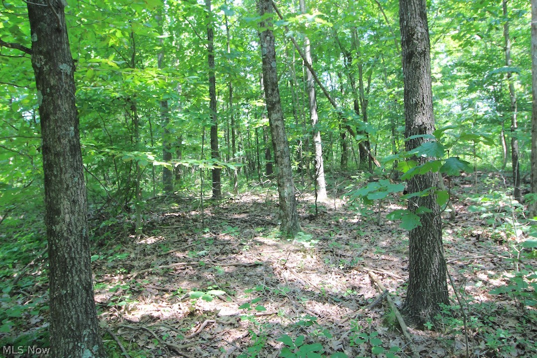 Union Hill Road Blue Rock, OH 43720 - Photo 33 of 35