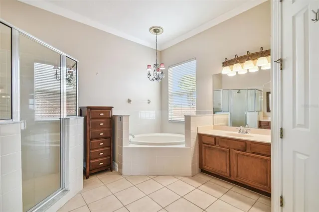 a view of a park with palm trees