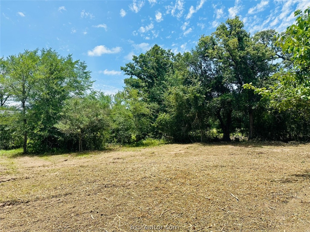9805 Durham Road Iola, TX 77861 - Photo 10 of 19