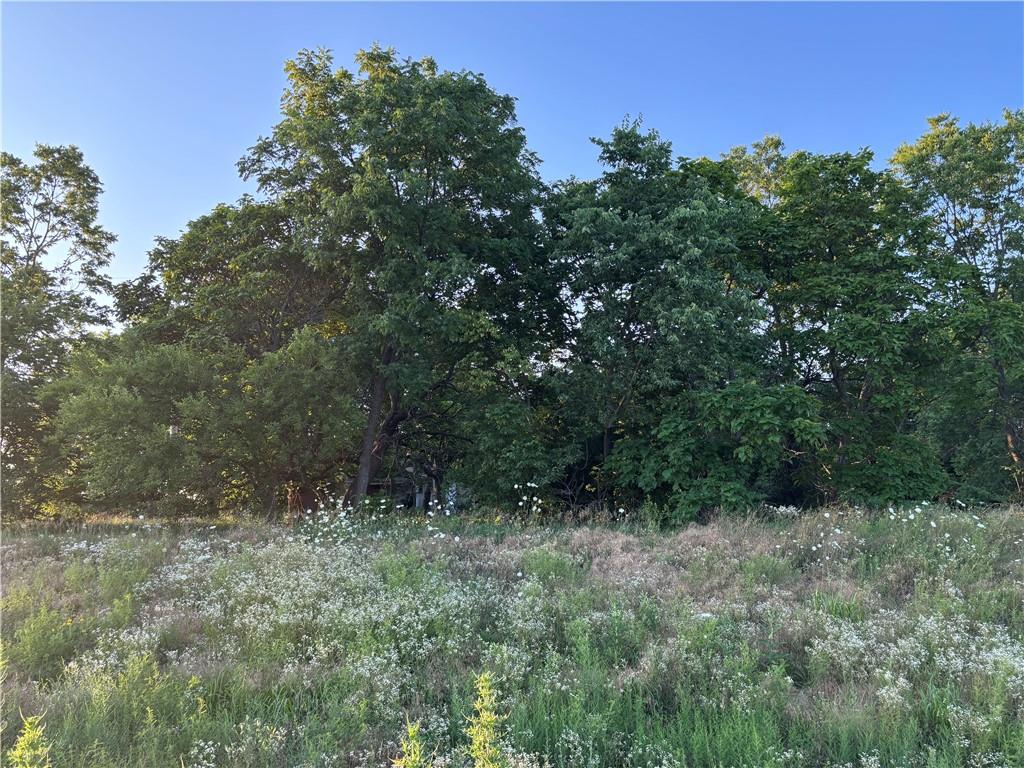 27865 New Lancaster Road Louisburg, KS 66053 - Photo 5 of 13