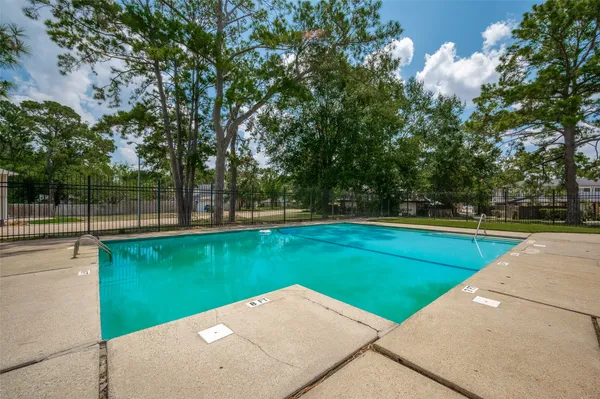 a view of a park with large trees