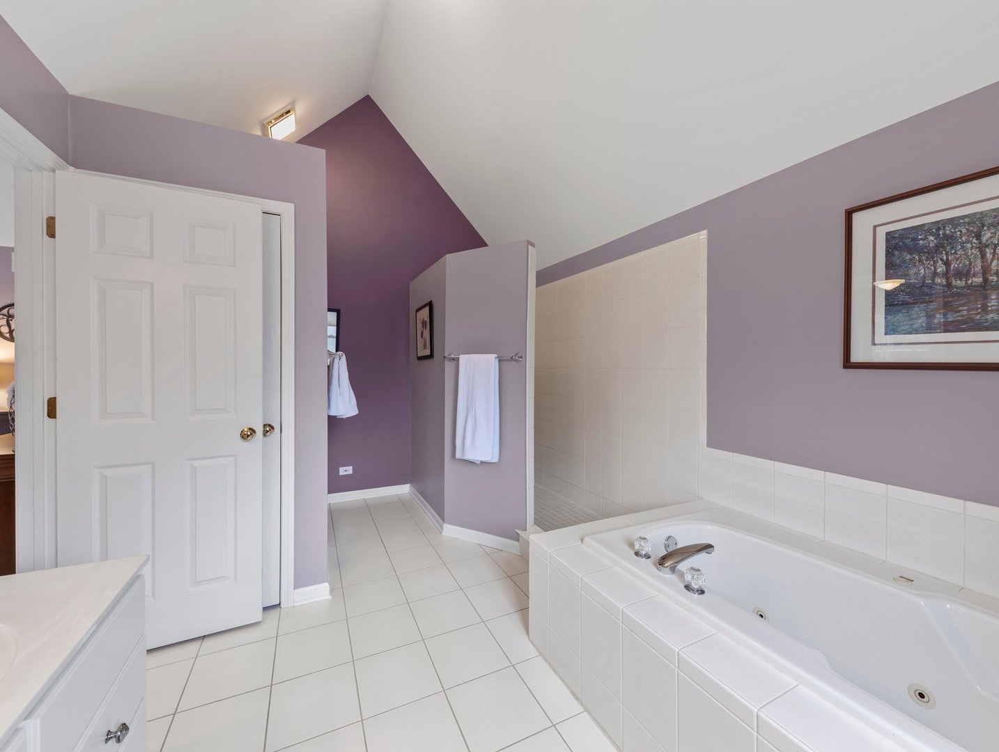 115 Rieser Circle Naperville, IL 60565 - Photo 20 of 32 Gallery Image 20