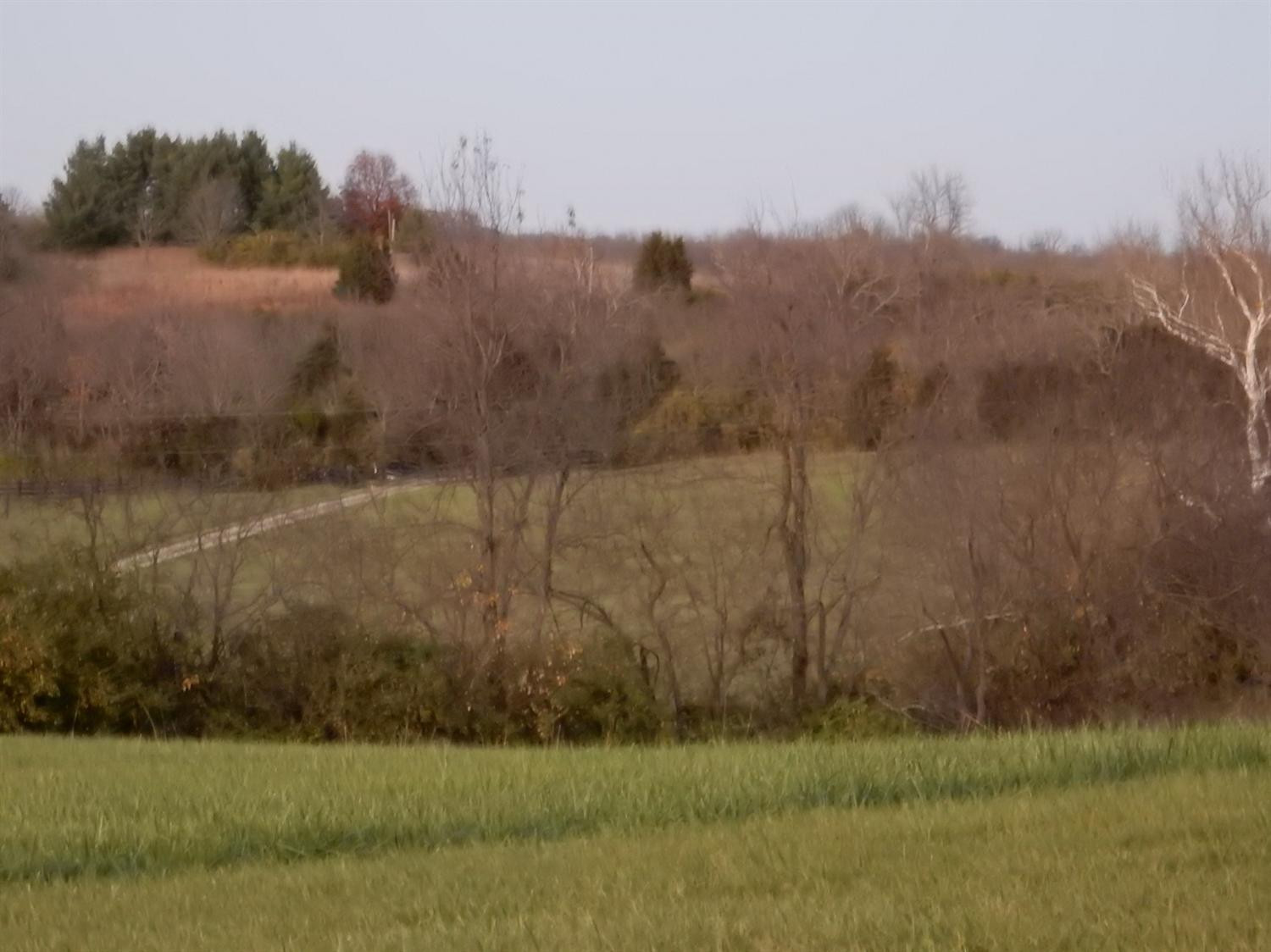 525 Boone Ridge Lane Lexington, KY 40515 - Photo 53 of 60 Photo 53