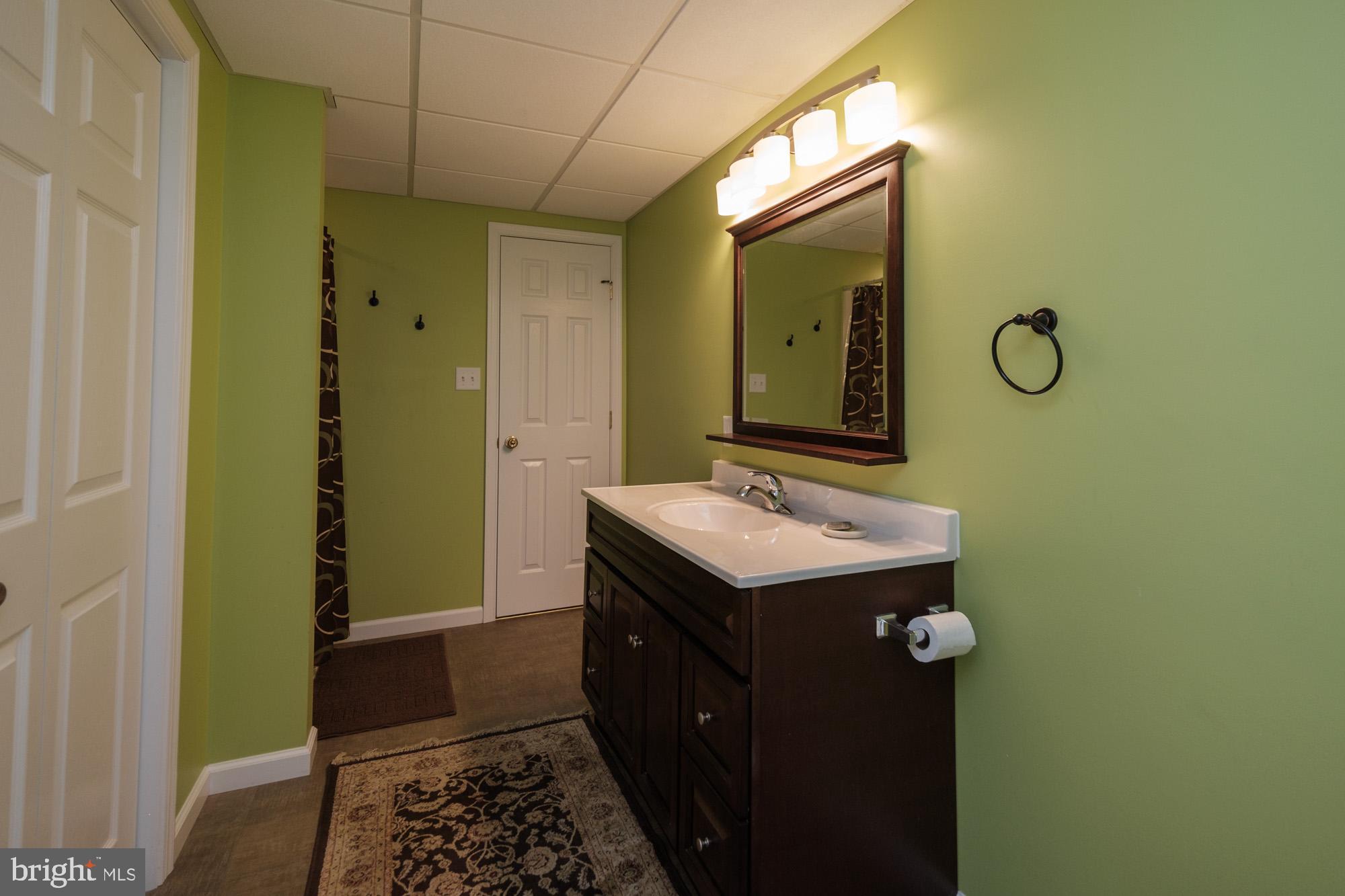 52 Rim View Lane Reading, PA 19607 - Photo 29 of 36 Lower Level Bathroom
