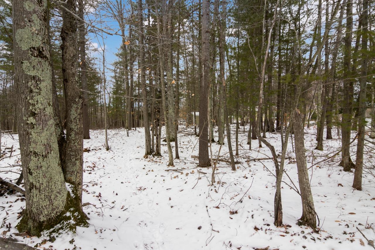 5539 Bush Road Interlochen, MI 49643 - Photo 25 of 63