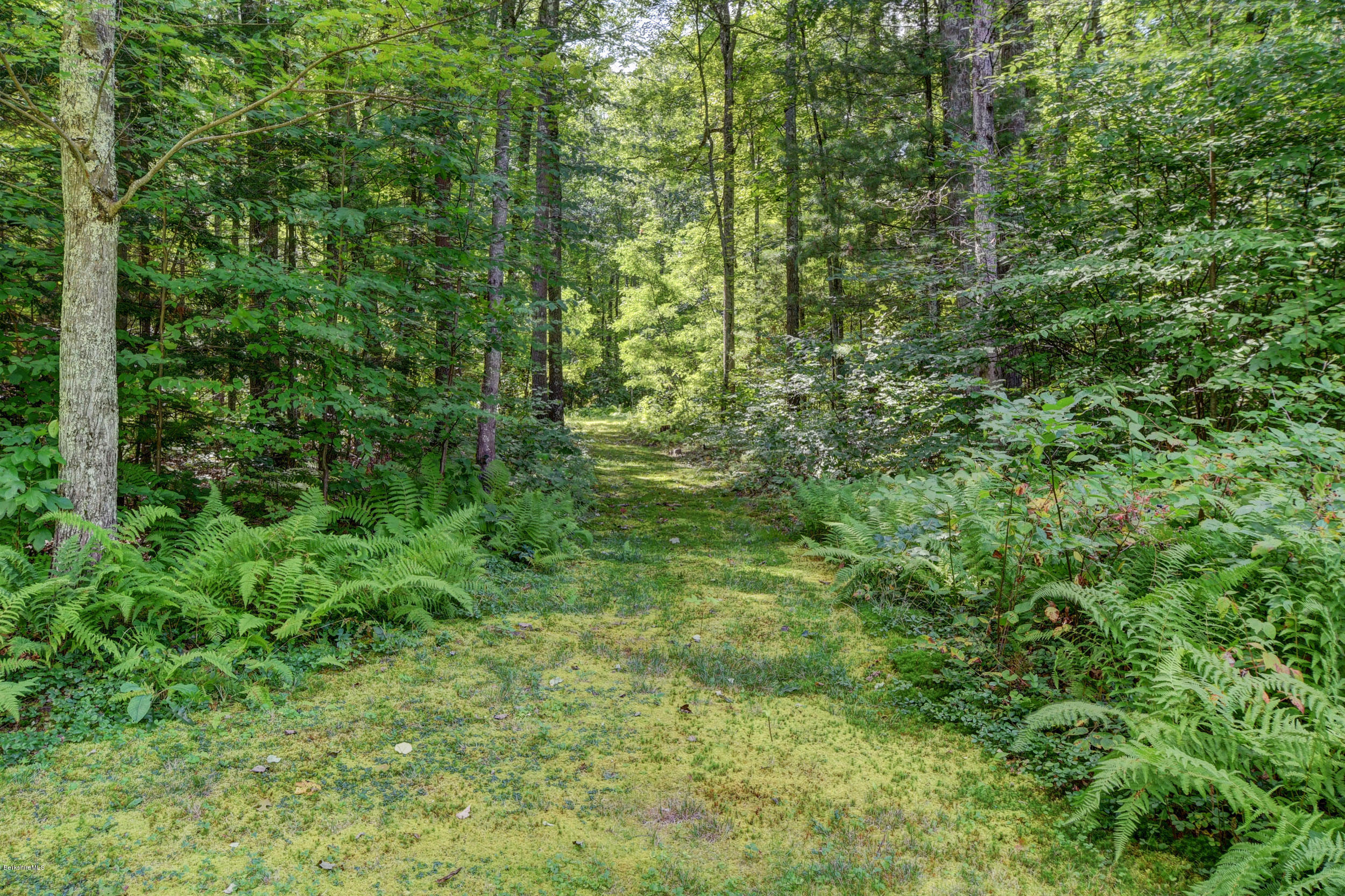 296 Alum Hill Road Sheffield, MA 01222 - Photo 27 of 27 9120 Back Yard Trail