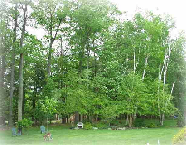 2 Old English Road Bethlehem, NY 12159 - Photo 3 of 9 Photo 3