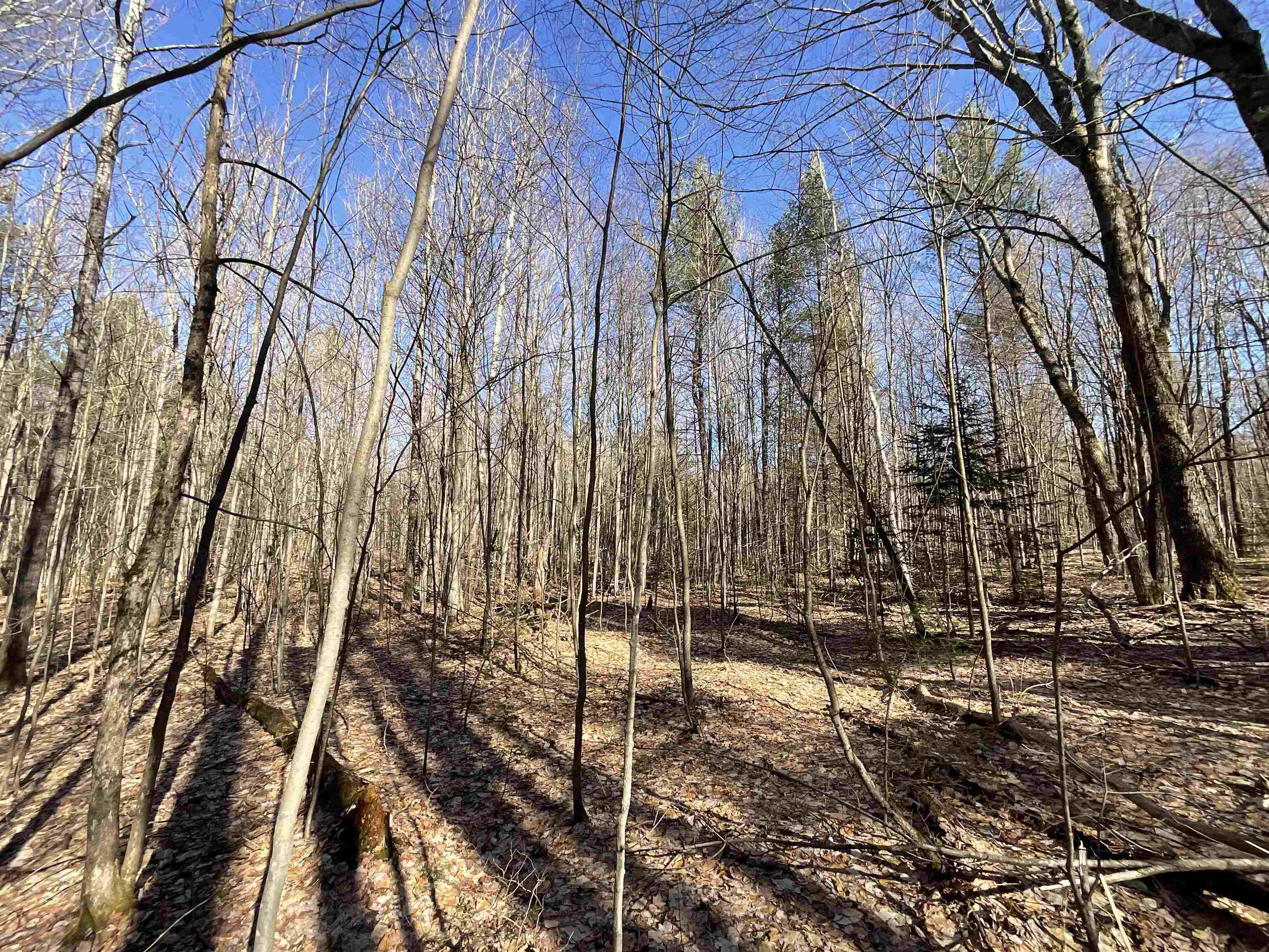 V/l Tower Road Northeast Kalkaska, MI 49646 - Photo 13 of 15