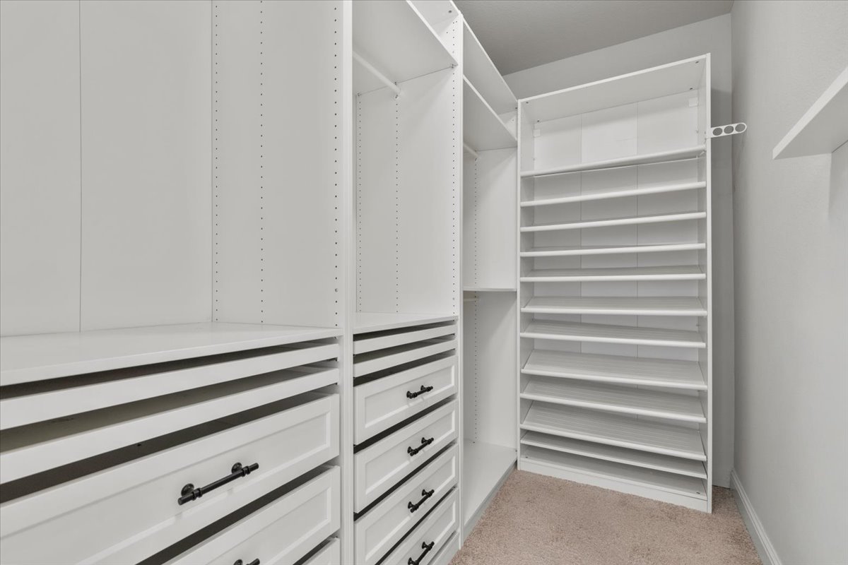 101 Free Stone Drive Georgetown, TX 78628 - Photo 17 of 40 Custom white built-in closet system featuring adjustable shelving, integrated drawers with dark hardware, a dedicated shoe rack, and plush carpet flooring