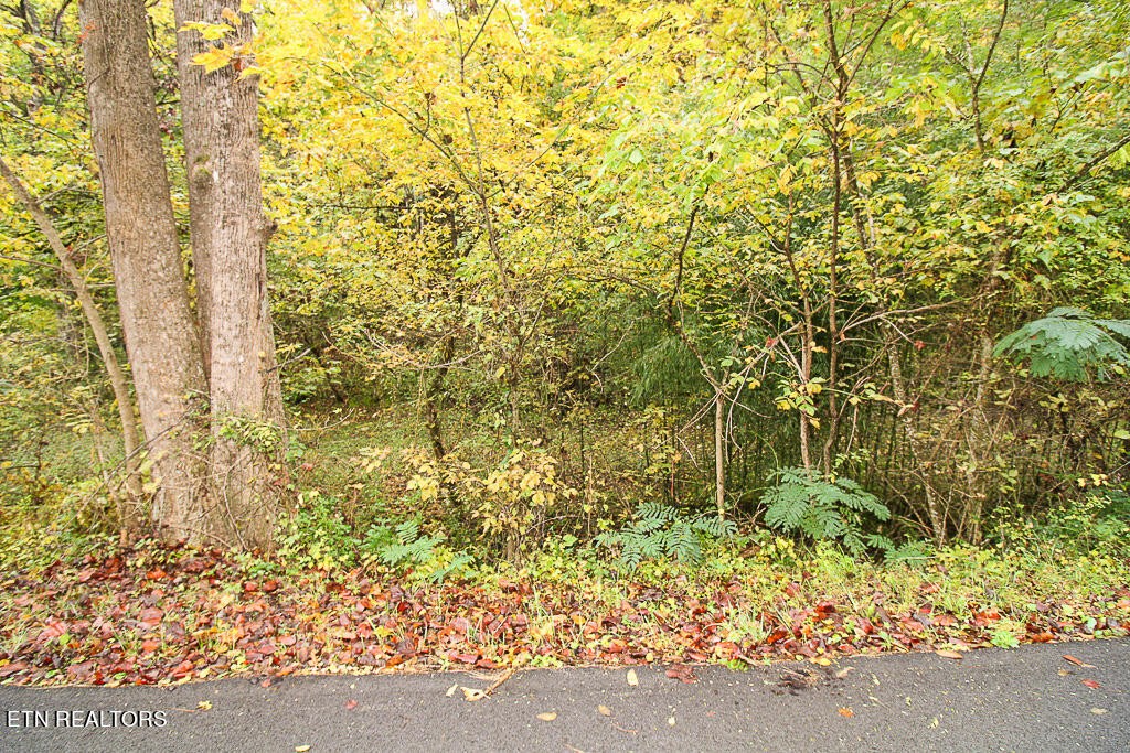 1 Flat Branch Road Sevierville, TN 37876 - Photo 23 of 26 Gallery Image 23