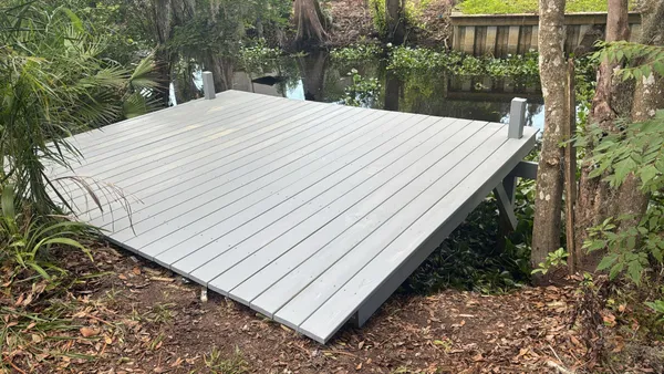 a view of a backyard with plants