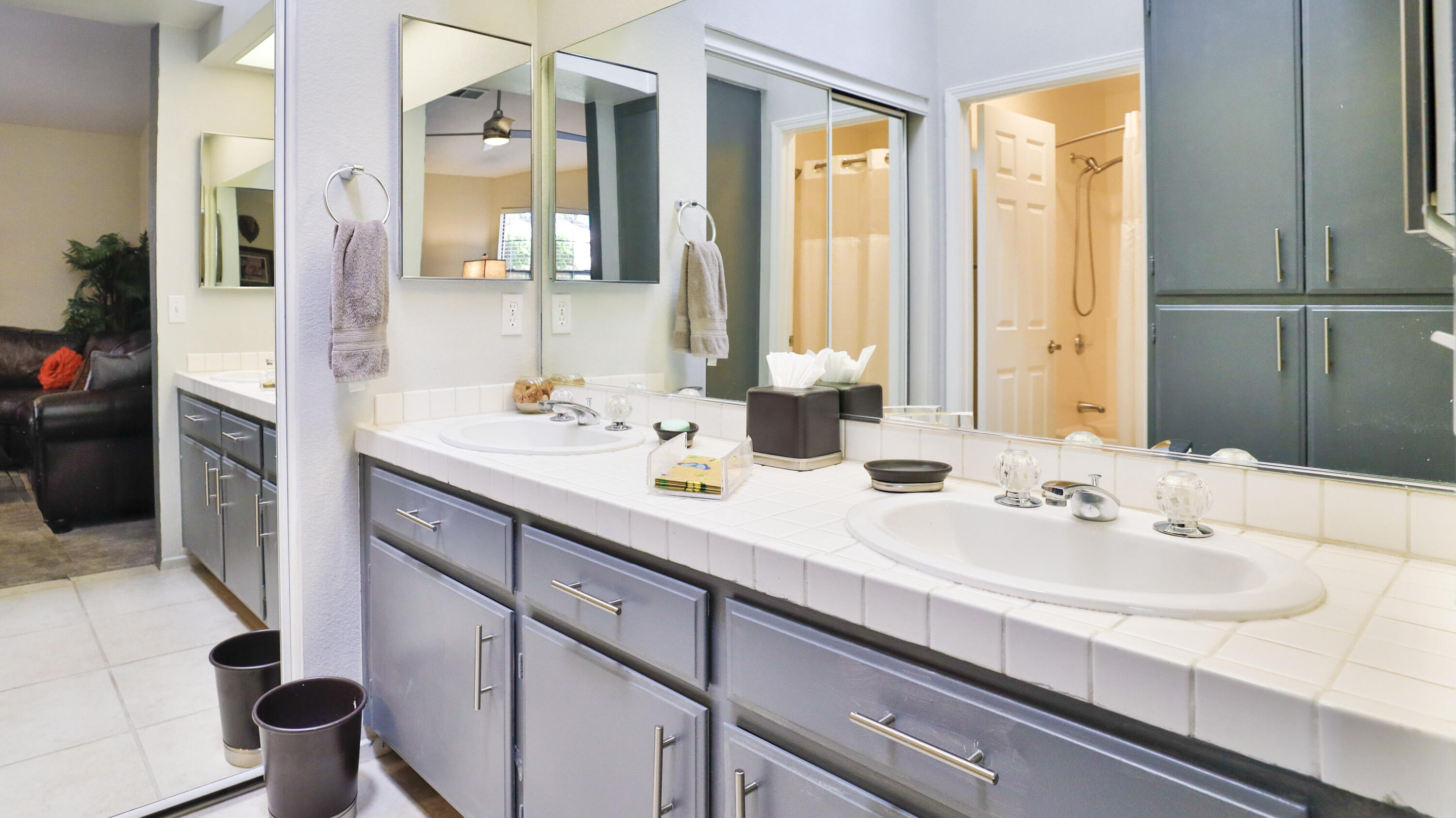 42641 Liolios Drive Palm Desert, CA 92211 - Photo 32 of 44 a bathroom with a sink and a mirror