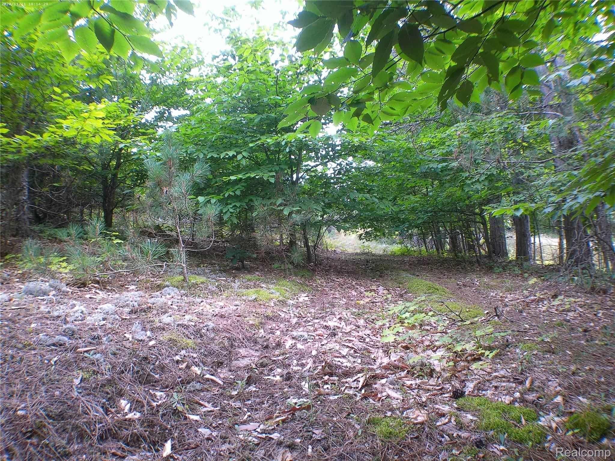 0 North 27th Road Mesick, MI 49668 - Photo 4 of 14 ANMP0240.jpg