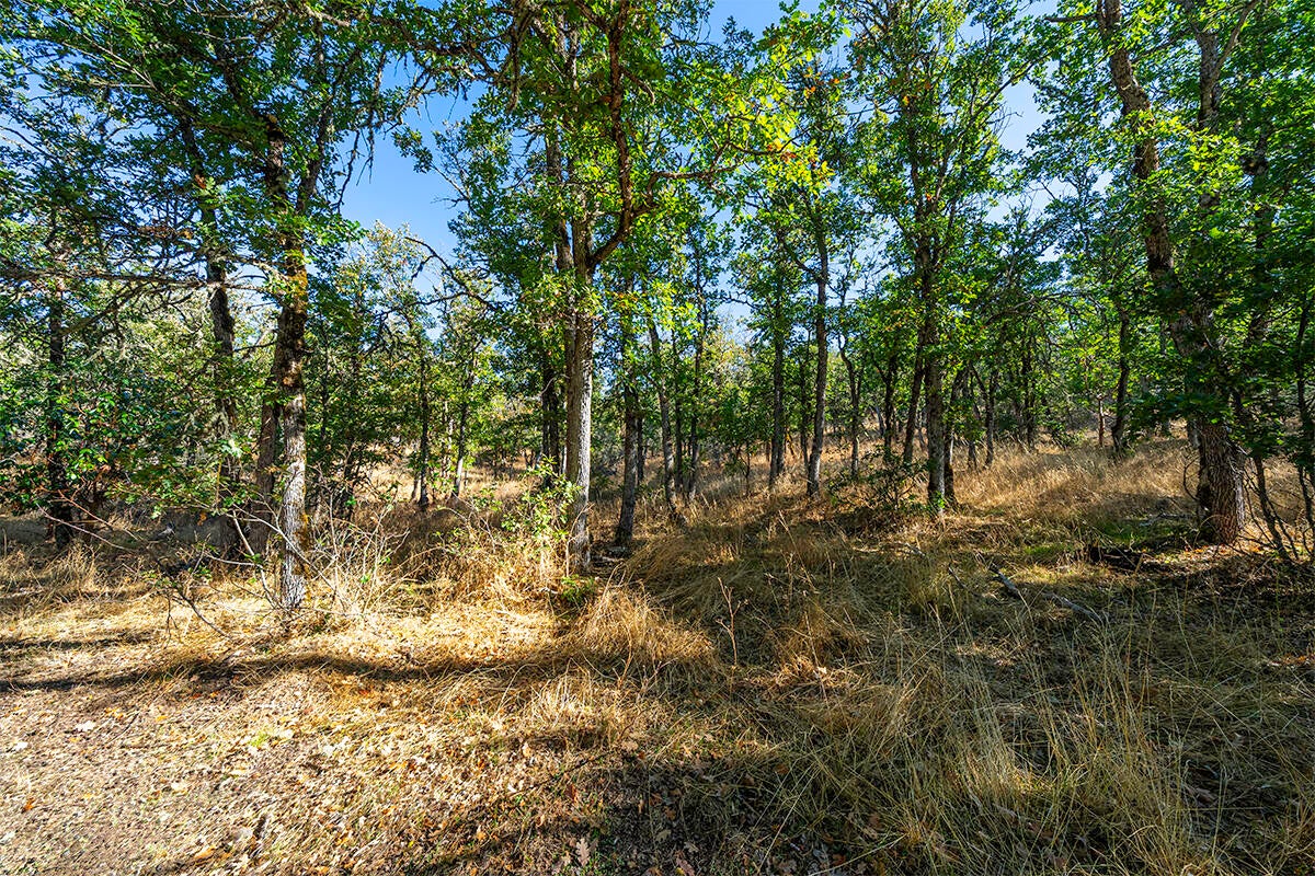 6570 Old Stage Road Central Point, OR 97502 - Photo 39 of 49 DSC09270-HDR-Edit