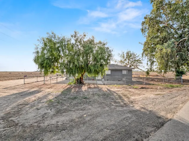 a view of a yard with plants and trees