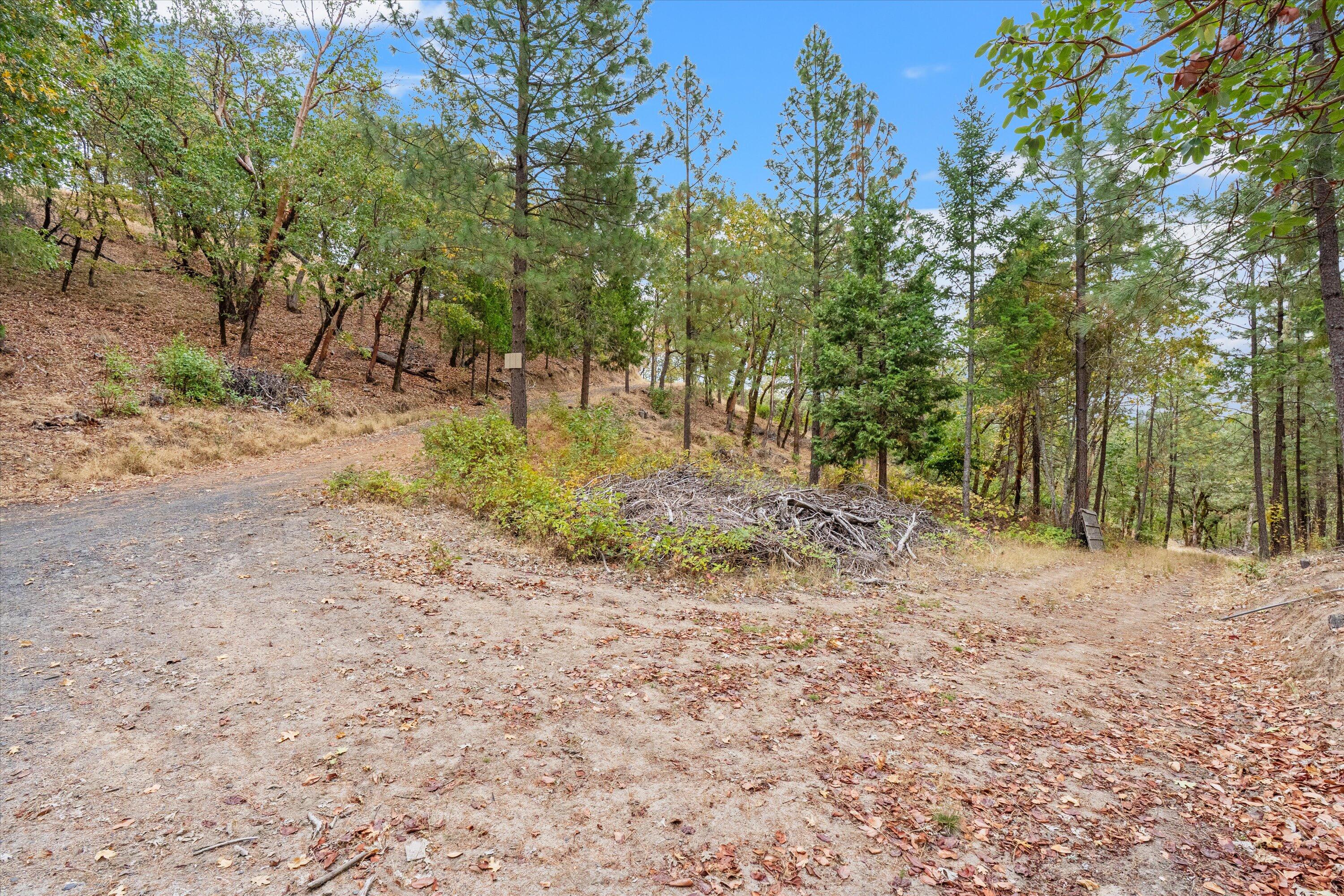 6393 Hugo Road Grants Pass, OR 97526 - Photo 8 of 17 07-6393 Hugo Rd-7