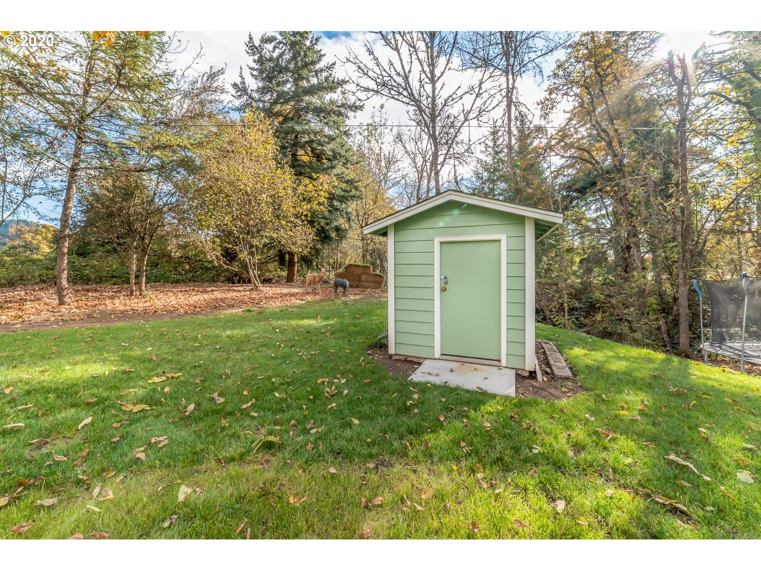 89831 North Game Farm Road Eugene, OR 97408 - Photo 6 of 32 Gallery Image 6