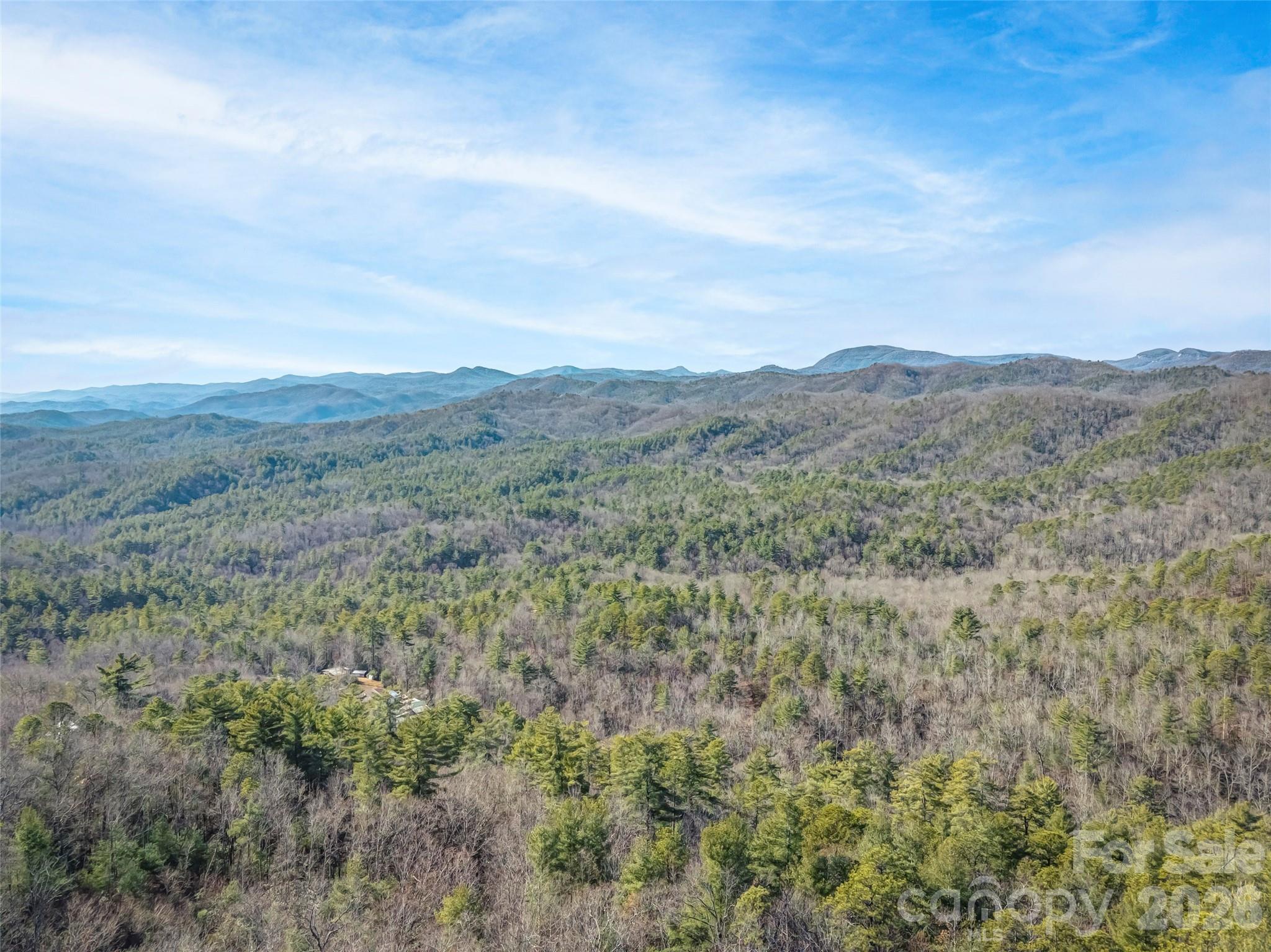 101 Ruffed Grouse Road Brevard, NC 28712 - Photo 4 of 37 Gallery Image 4