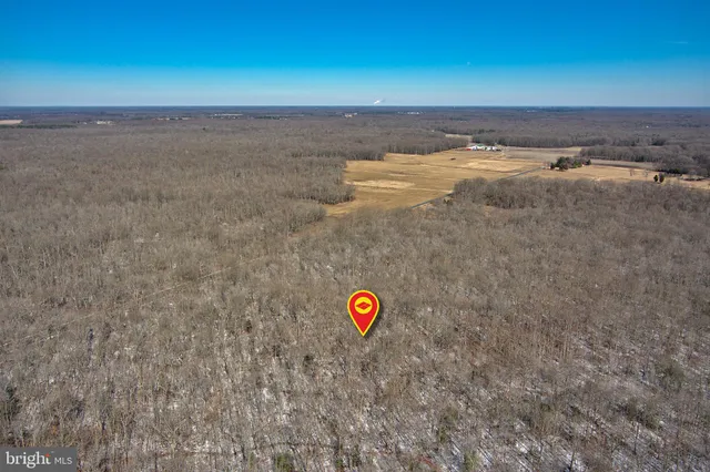 $120,000 | 0 Bear Pond Road, Marydel, MD 21649