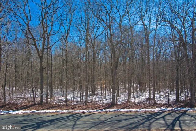 $120,000 | 0 Bear Pond Road, Marydel, MD 21649