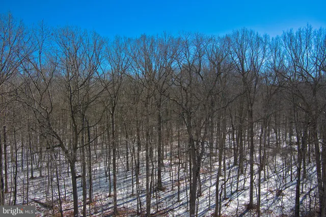 $120,000 | 0 Bear Pond Road, Marydel, MD 21649