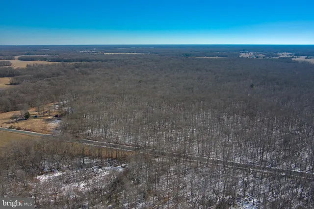 $120,000 | 0 Bear Pond Road, Marydel, MD 21649