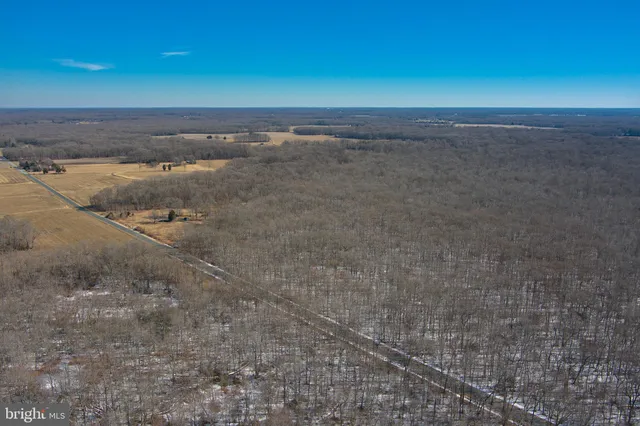 $120,000 | 0 Bear Pond Road, Marydel, MD 21649