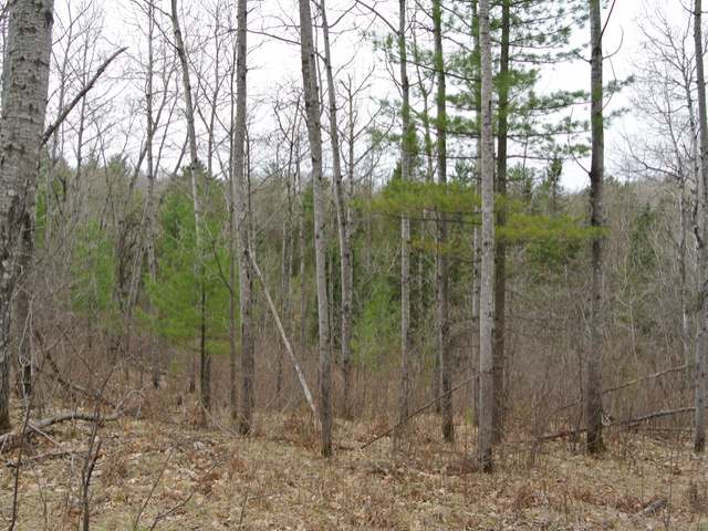Lot 6 Sutton Road Minocqua, WI 54548 - Photo 3 of 9 Gallery Image 3