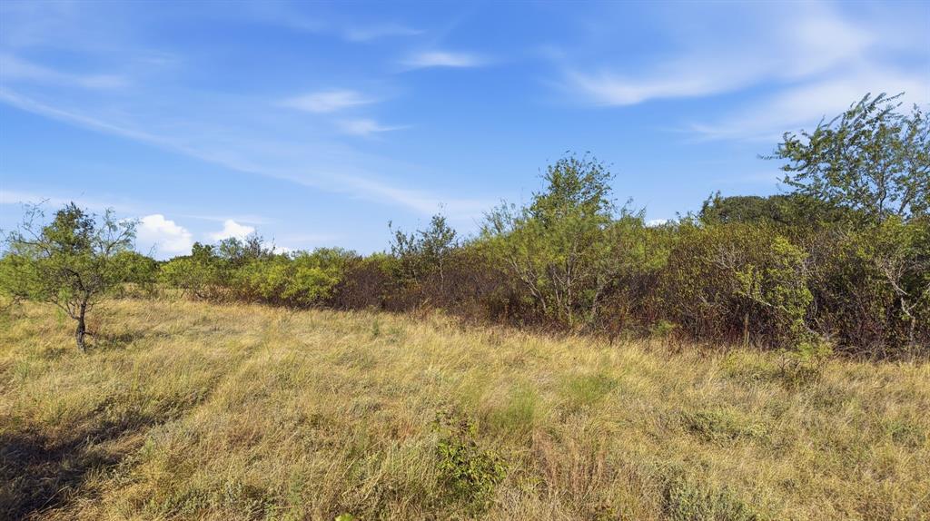 Lot 46 Twisted Creek Ranch Gustine, TX 76455 - Photo 14 of 25 Gallery Image 14