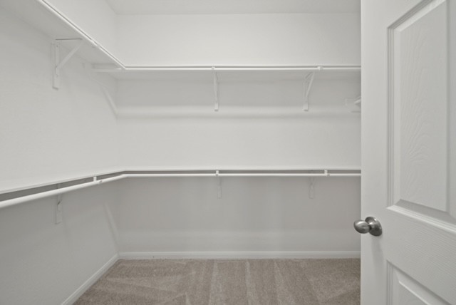 10422 Sherwin Pass Drive Rosharon, TX 77583 - Photo 19 of 26 a close view of closet