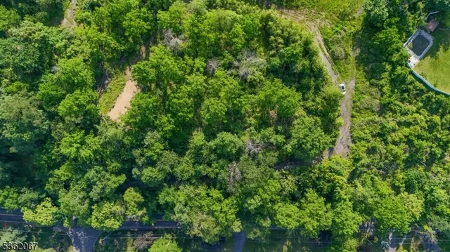 a view of a house with a lush green forest