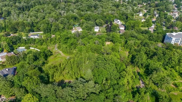 a view of a house with a tree