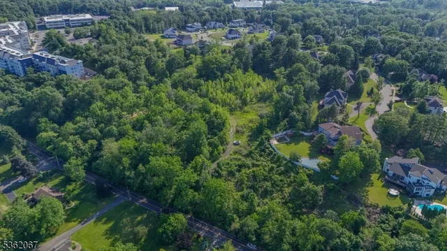 a view of a city with lush green forest