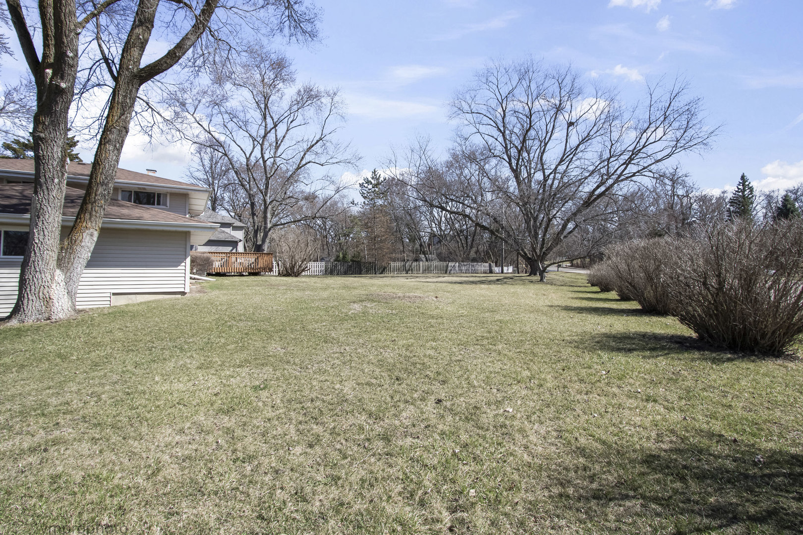 61 Miller Road Lake Zurich, IL 60047 - Photo 24 of 31 a view of a yard with a tree