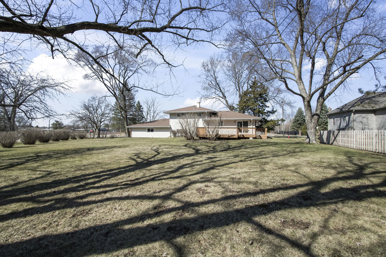 61 Miller Road Lake Zurich, IL 60047 - Photo 26 of 31 a view of a yard with a tree