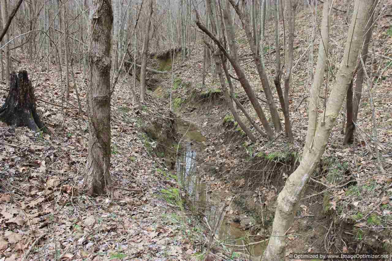 14111 Oak Ridge Road Vicksburg, MS 39183 - Photo 8 of 18 Photo 9
