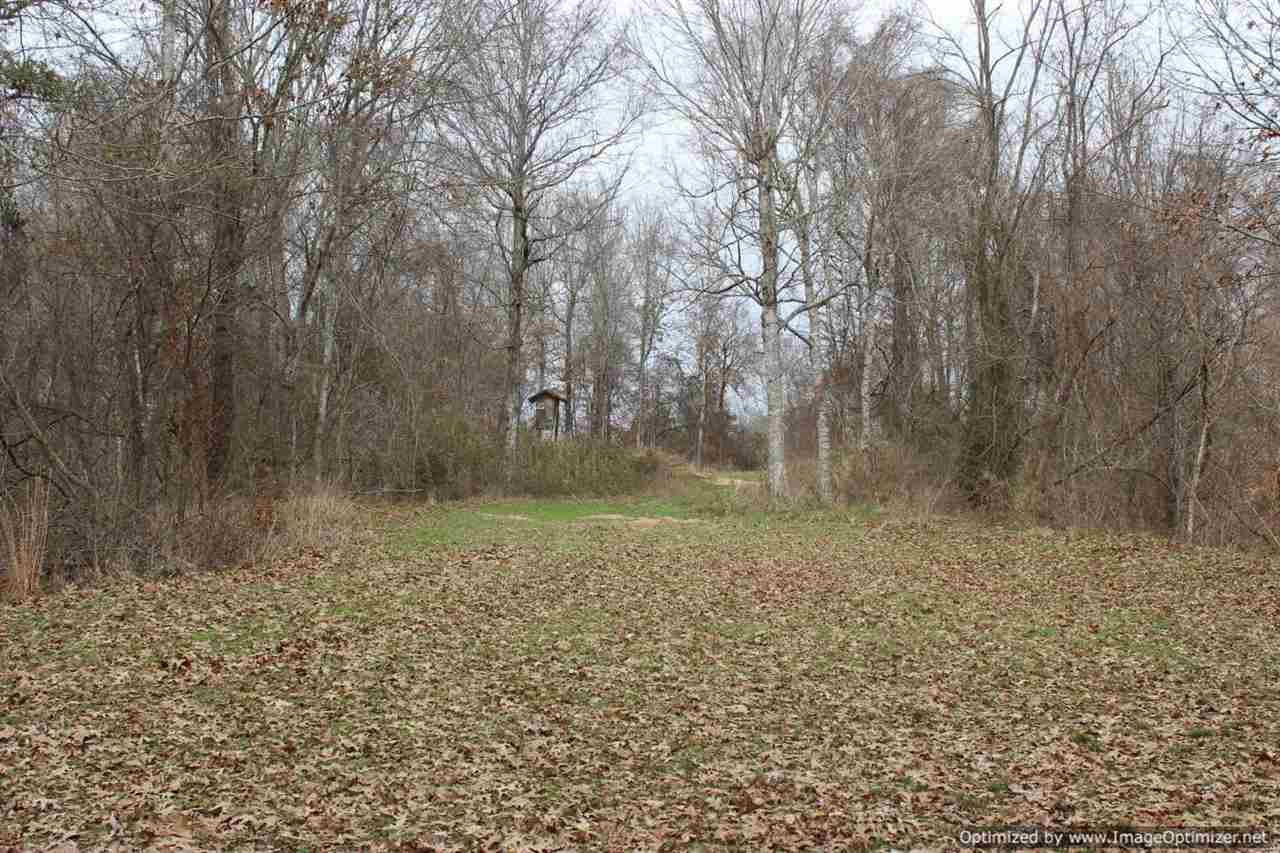 14111 Oak Ridge Road Vicksburg, MS 39183 - Photo 10 of 18 Photo 11