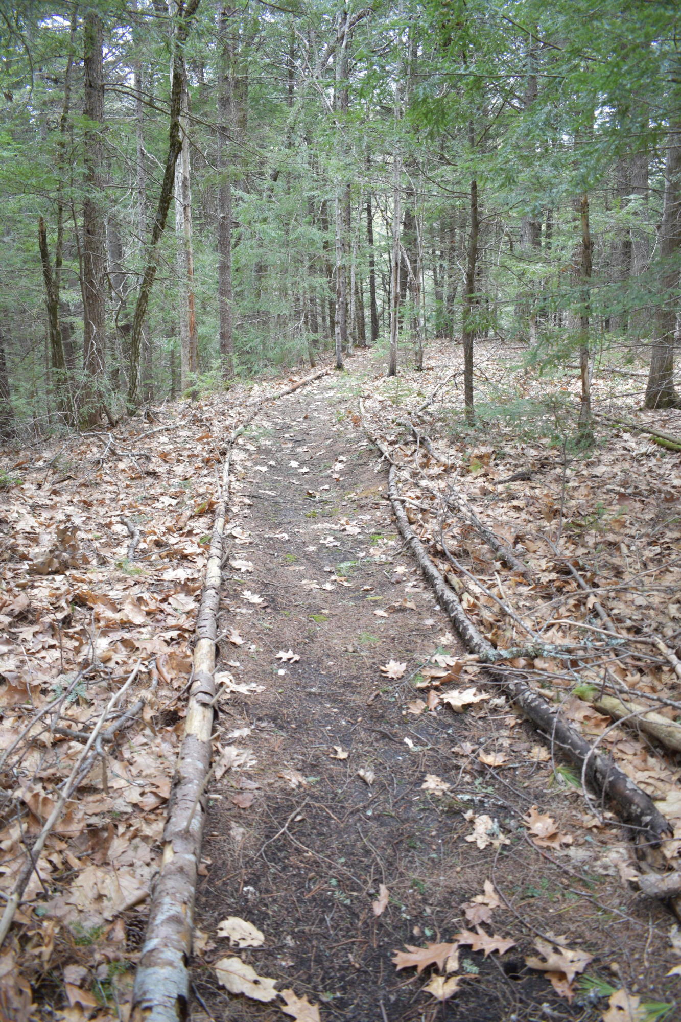 81 Big Woods Road Harrison, ME 04040 - Photo 36 of 37 MOB_0998