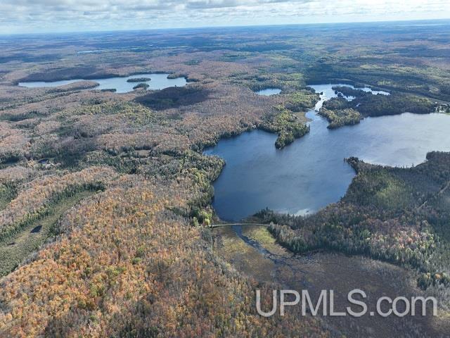 5800 Wolf Lake Road Watersmeet, MI 49969 - Photo 1 of 86