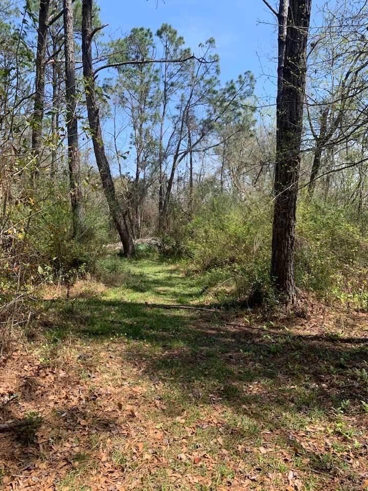 26264 Feely Road Elberta, AL 36530 - Photo 10 of 30