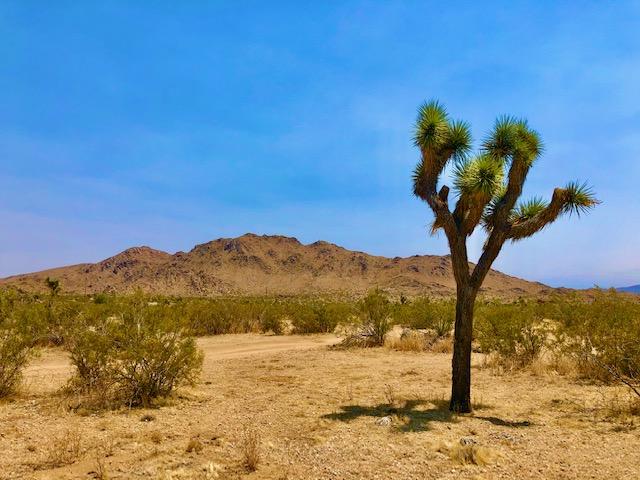68 Julcrest Road Yucca Valley, CA 92284 - Photo 2 of 23 a view of mountain view with mountain view