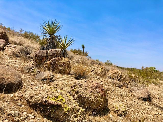 68 Julcrest Road Yucca Valley, CA 92284 - Photo 11 of 23 a view of a ocean
