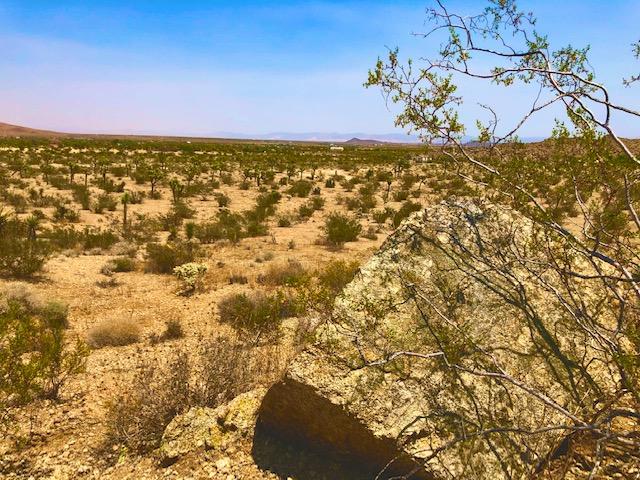 68 Julcrest Road Yucca Valley, CA 92284 - Photo 16 of 23 a view of a houses