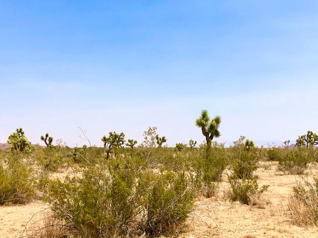 68 Julcrest Road Yucca Valley, CA 92284 - Photo 18 of 23 a view of a city