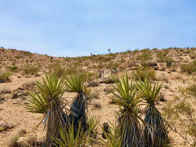 68 Julcrest Road Yucca Valley, CA 92284 - Photo 6 of 23 a view of a city
