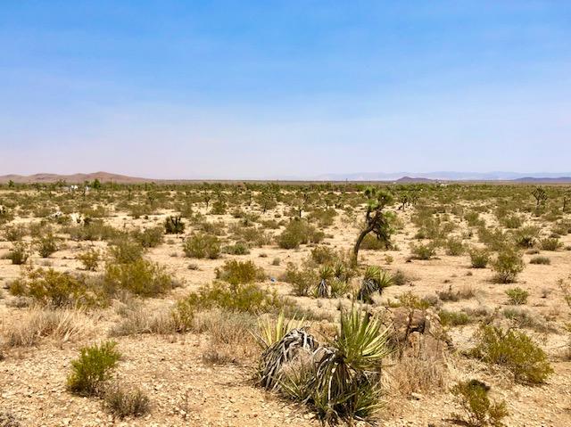 68 Julcrest Road Yucca Valley, CA 92284 - Photo 10 of 23