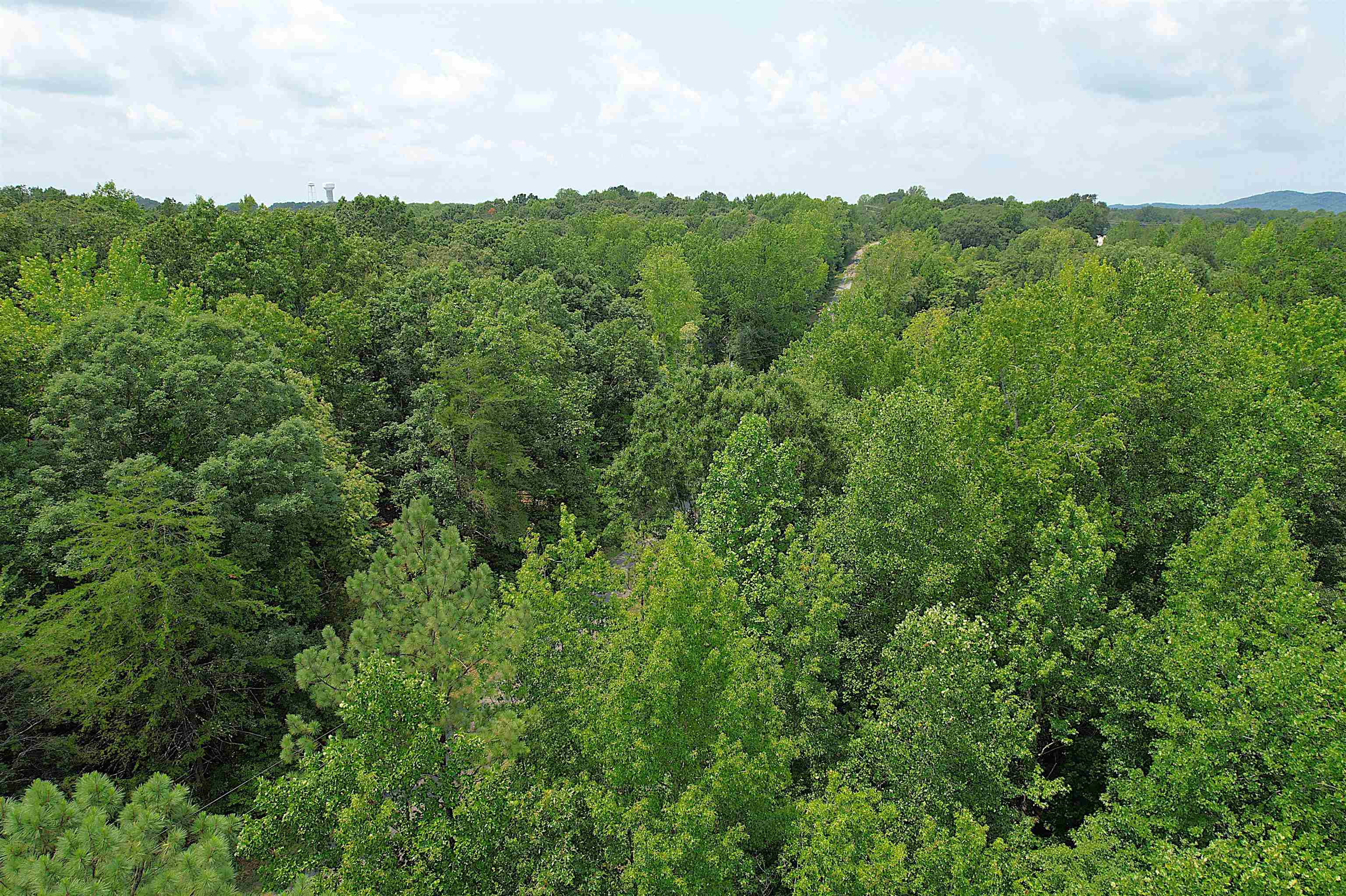 Tbd Byars Farm Road Gaffney, SC 29341 - Photo 8 of 11 Gallery Image 8