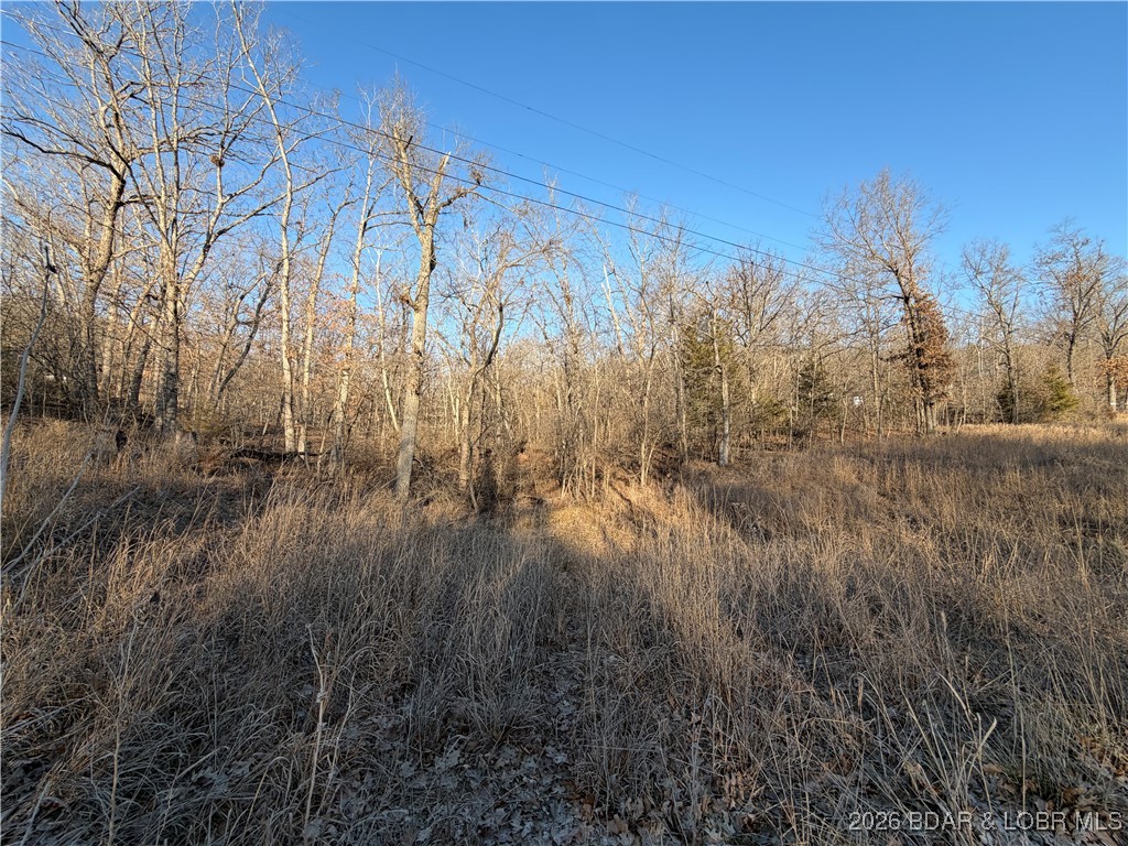 Tbd Green Hills Road Gravois Mills, MO 65037 - Photo 2 of 4