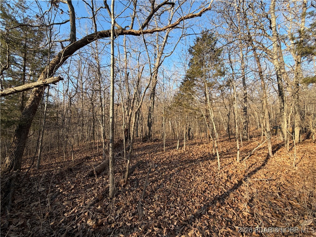 Tbd Green Hills Road Gravois Mills, MO 65037 - Photo 3 of 4